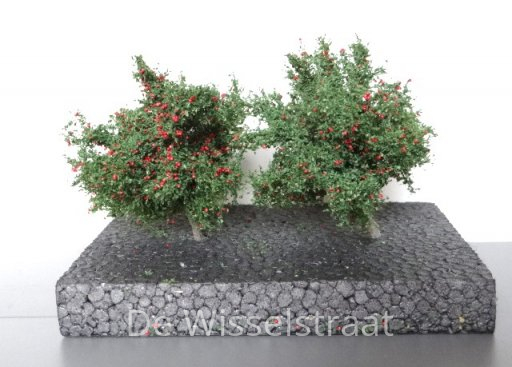 MiniNatur 383361 Fruitbomen 2 stuks, hoogte 85 mm