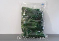 Divers 380182 Ijslands mos groen, 160 g