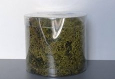 Divers 398022 IJslands mos