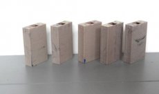 Huis 395032 Arnold pijlers 5 stuks