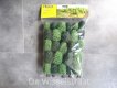 Noch 26801 Loofbomen 25 stuks 50-90 mm