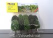 Noch 26901 Loofbomen hoogte 5-9 cm, 10 stuks