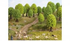 Noch 26901 Loofbomen hoogte 5-9 cm, 10 stuks