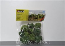 Noch 32901 Loofbomen 10 stuks