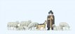 Preiser 14160 Herder met schapen en hond