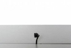 Alleen bekijken: bestellen via Divers 379675